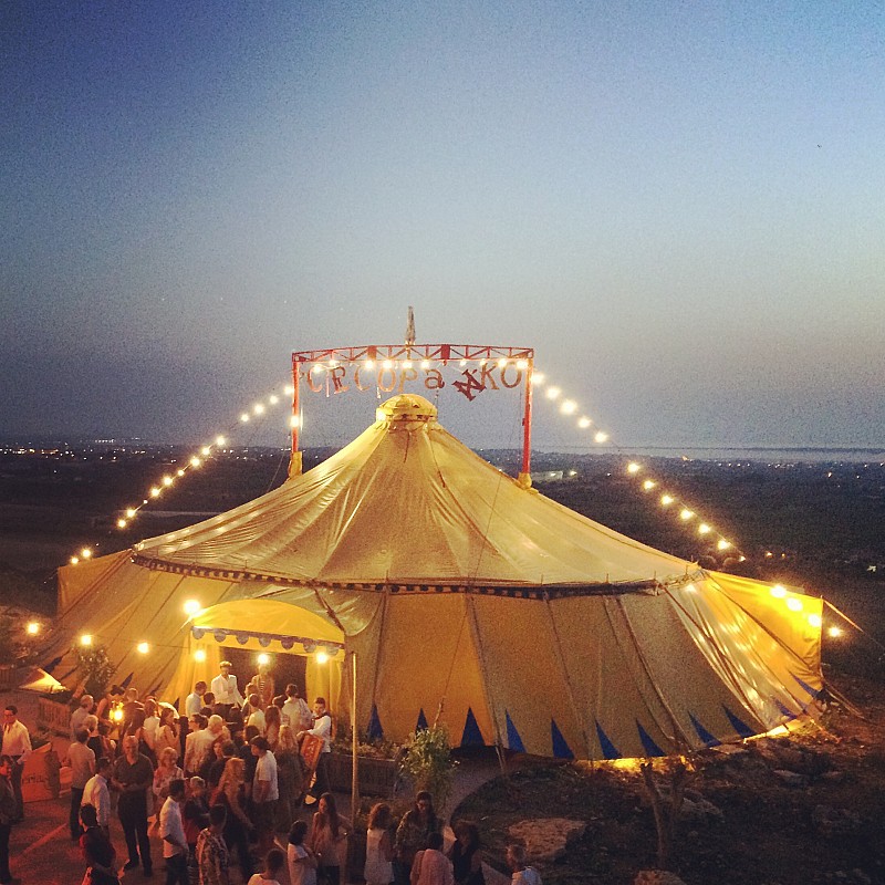 Il circo in città