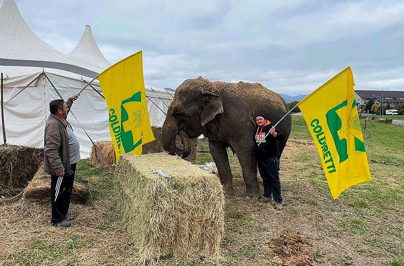 Coldiretti solidale con il circo