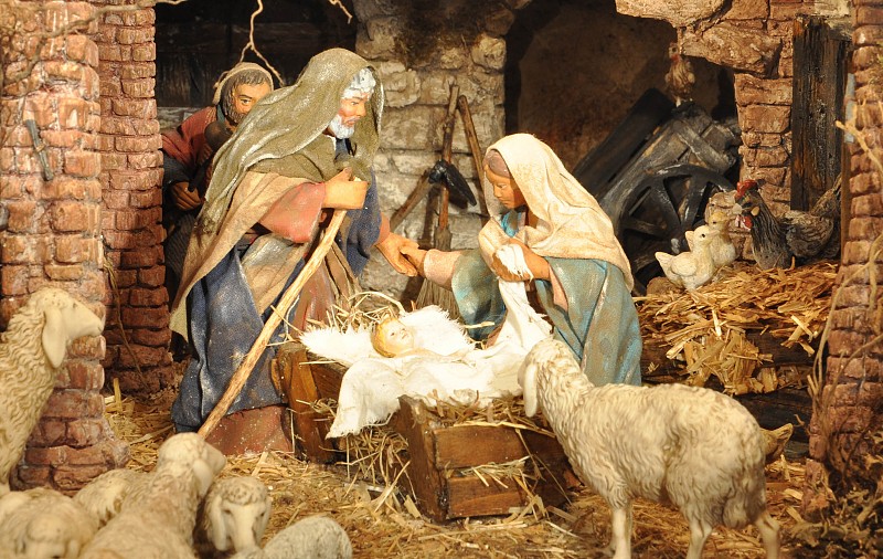 Non smettere di guardare la stella