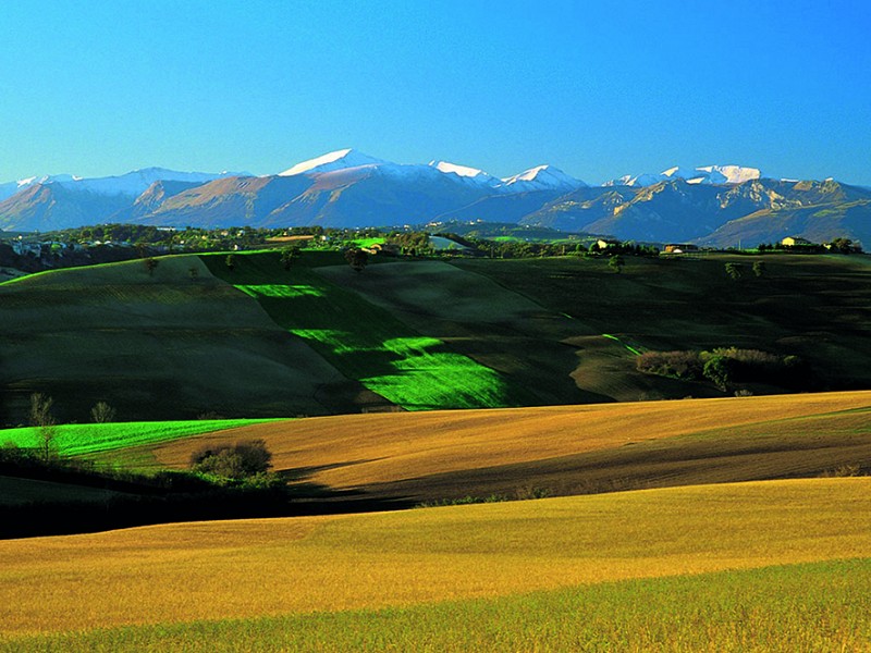 Da una crisi all'opportunità