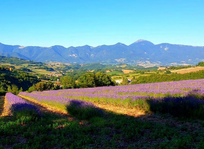 Il festival della montagna