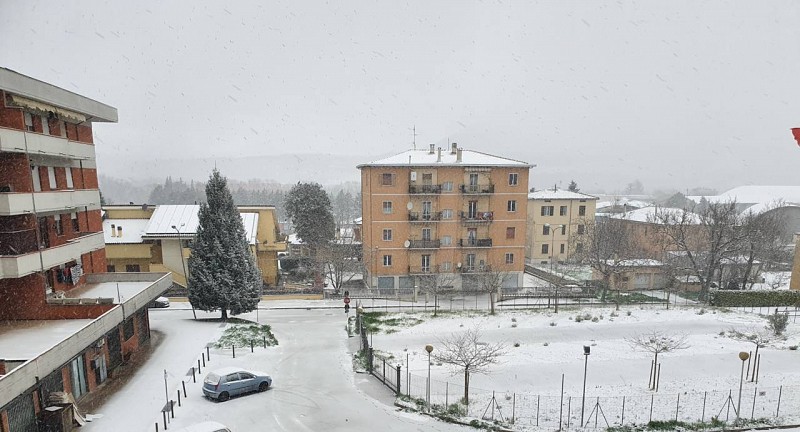 La prima neve in città: le scuole non chiudono