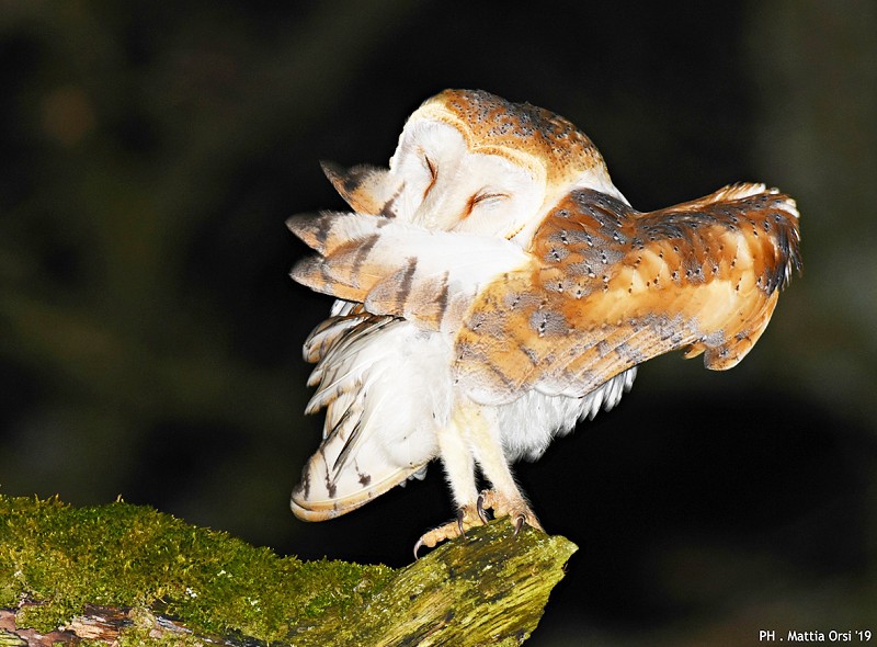 La montagna chiama... in foto