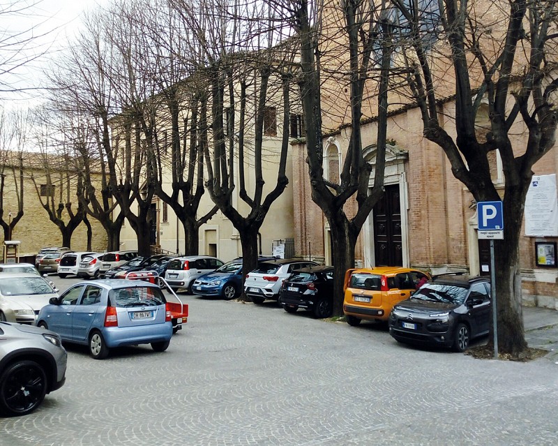 Piante da sistemare