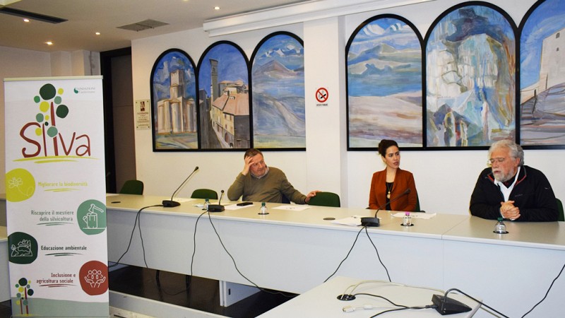 Fondi per i boschi