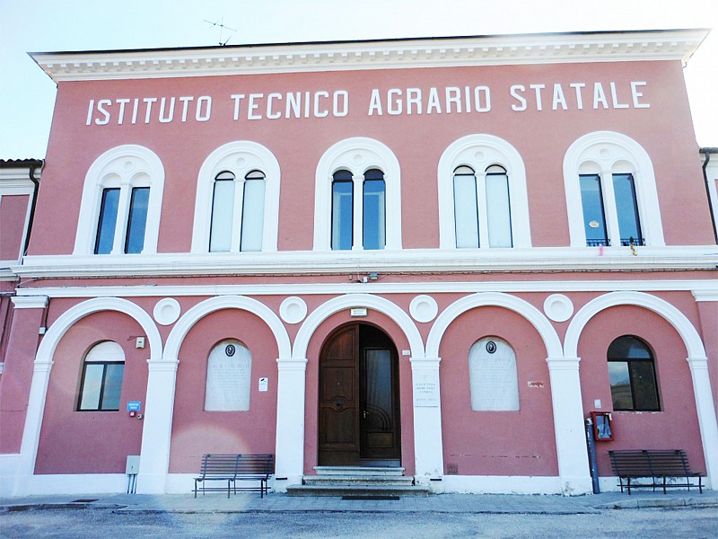 Gara di potatura all'Agraria
