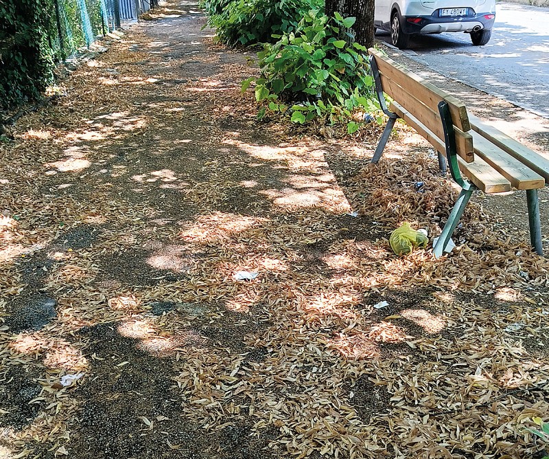 Un viale come discarica