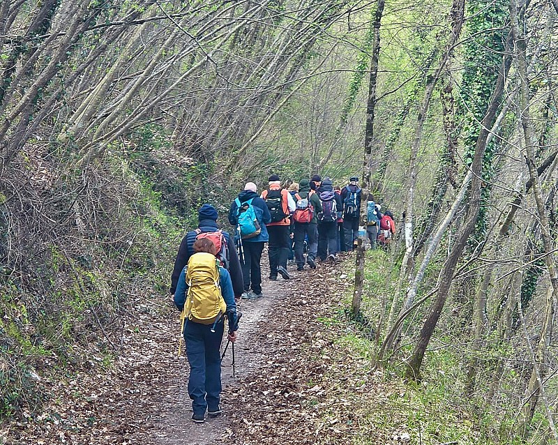 Nel sentiero della carta