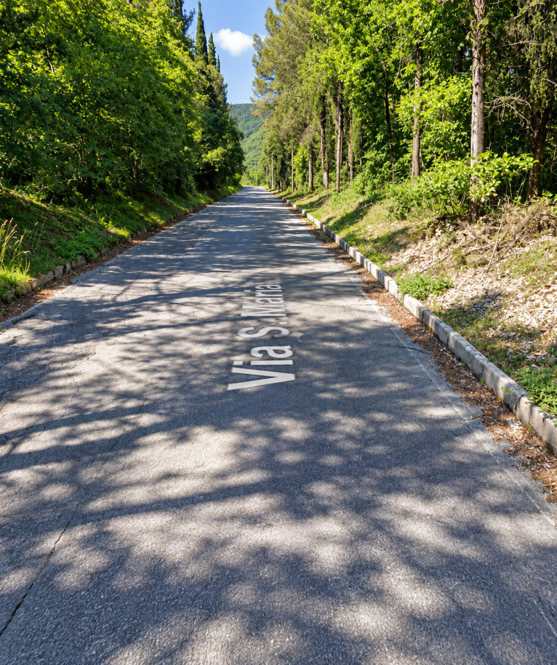 Strada di S. Silvestro: approvato il progetto