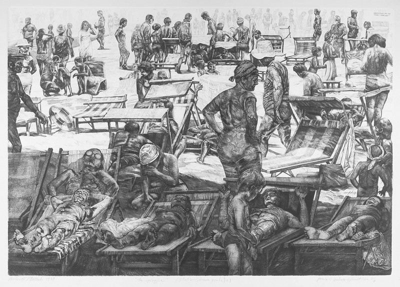 Opere di Stelluti in esposizione