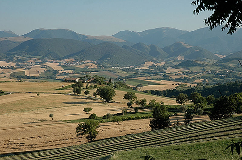 I provvedimenti per combattere il clima
