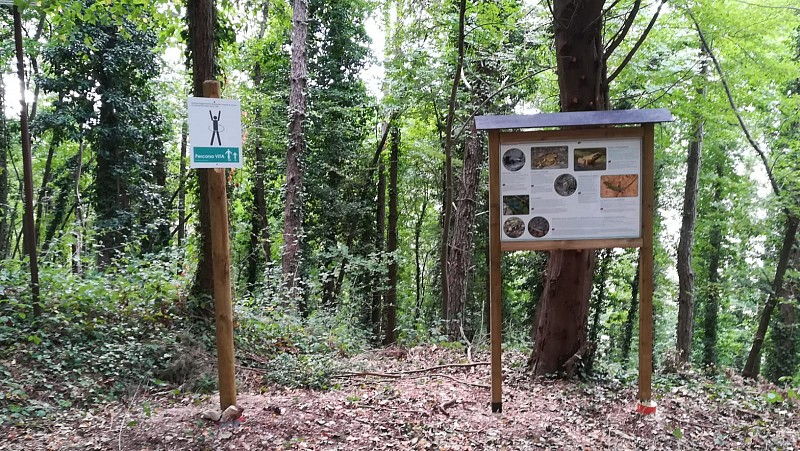 Un nuovo Percorso Vita sulla Pineta di Marischio