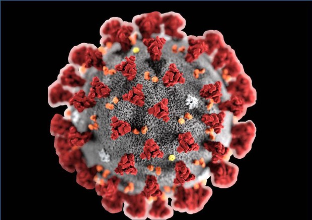 Emergenza Coronavirus: è caos