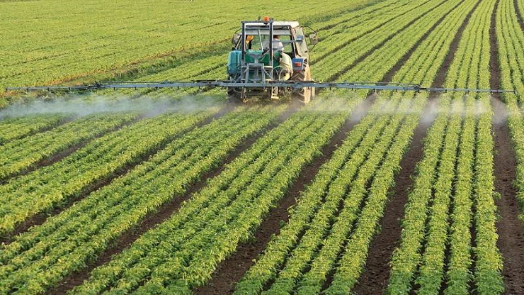 Regione: contributi a fondo perduto per l'agricoltura